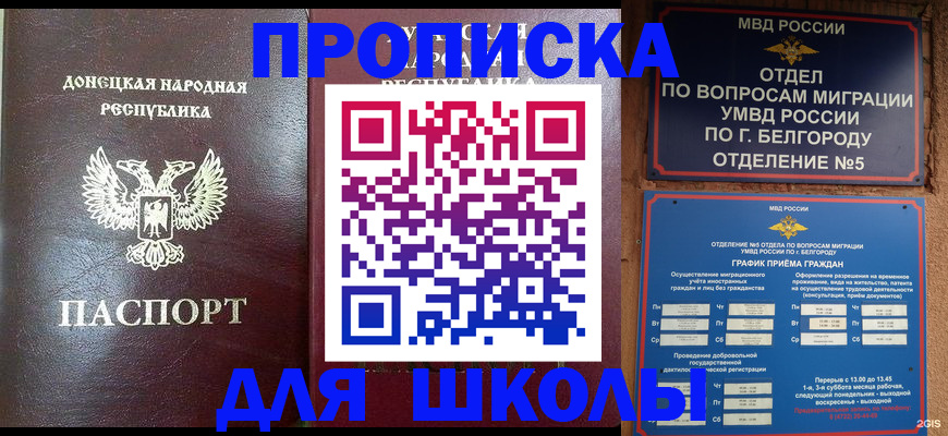 прописка для работы в Сольцах